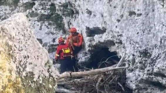 Cane Salvato da una Parete Rocciosa nel Natisone