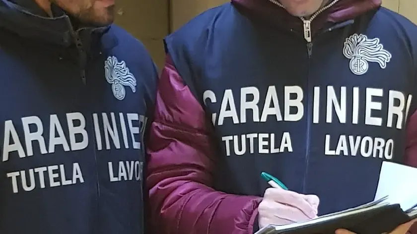 Allevamento Avicolo Udine: Multa da 9 Milioni per Violazioni di Sicurezza