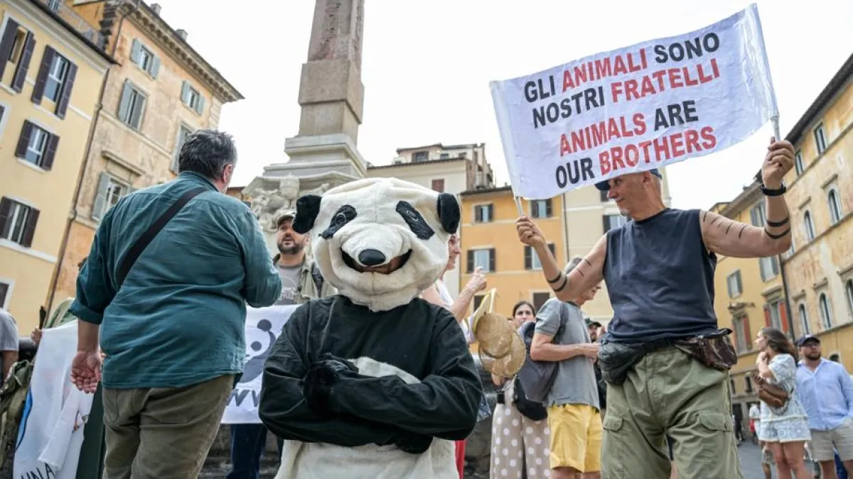 Animalisti in Campagna: Riforma Caccia Considerata Incostituzionale