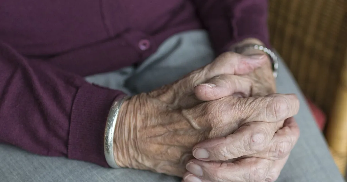 Supporto Assistenza Domiciliare: Incontri 2026