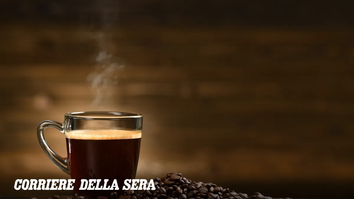 Caffè e Microbiota: Un Batterio 'Amico' Svela il Segreto