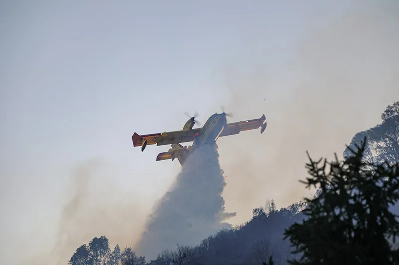 Canadair in Portogallo: Italia Supporta Gli Interventi Antincendio