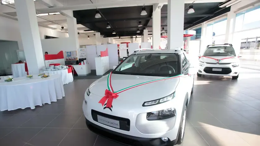 Mercato Auto Padova: +17% a Giugno, Impulso Bonus e Nuovi Marchi