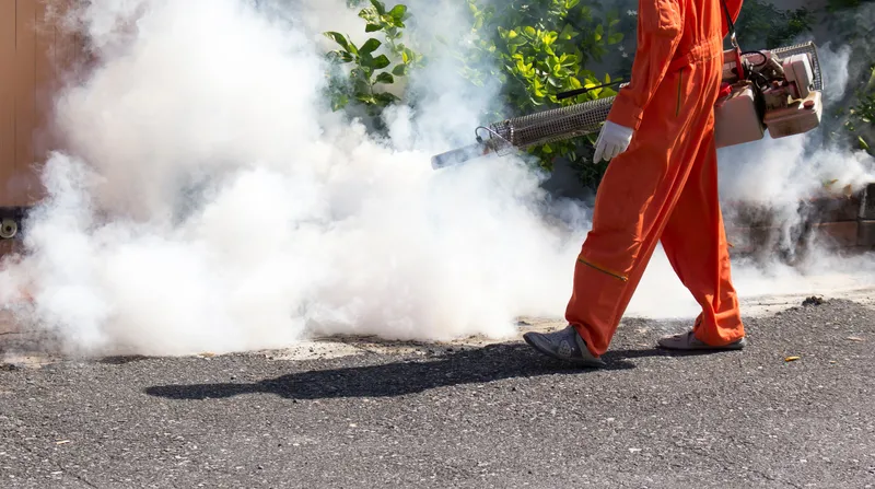 Imola: Ordinanza di Prevenzione West Nile per Eventi Estivi