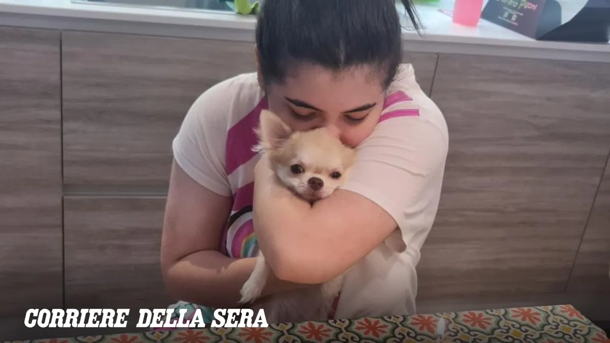 Ragazza Hikikomori Raggiunta Grazie a un Libro: Una Storia di Speranza