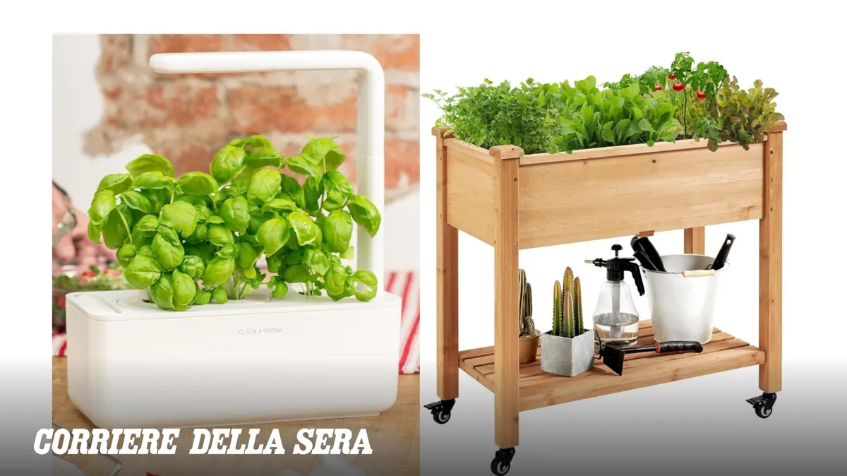 Orto Domestico: Guida Completa per Coltivare in Casa e Balcone