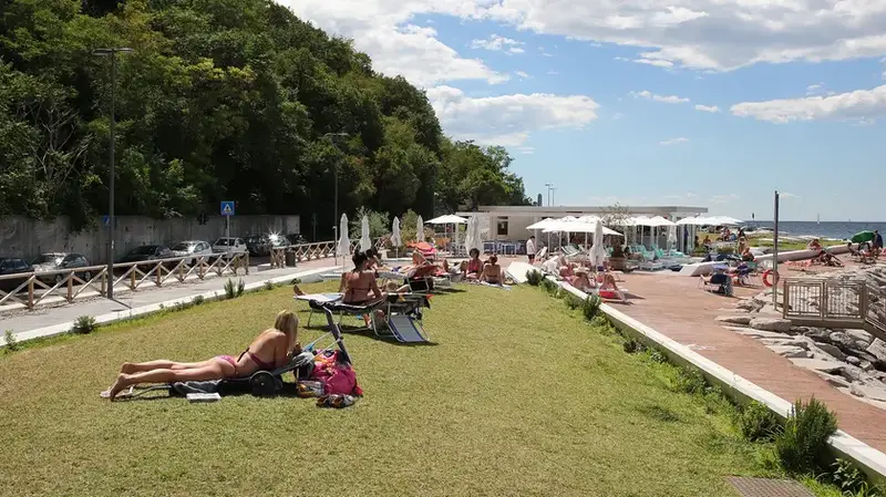 Allarme Topi a Muggia: l'Abbandono di Cibo Alimentato dal Fenomeno
