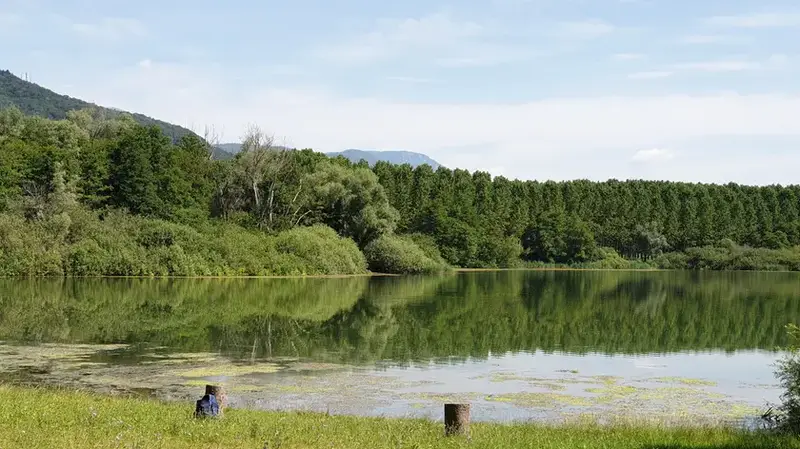 San Vito: Il Tagliamento ‘Adottato’: Cittadini e Associazioni si Prendono Cura di Aree Specifiche