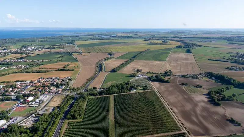 Monfalconese: Calo delle Aziende Agricole, Fatturato di 40 Milioni