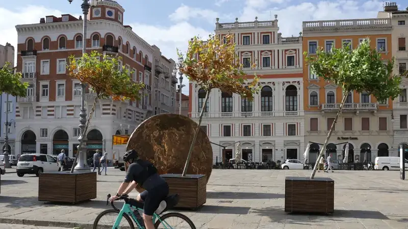 Trieste: Comune Richiede Sostituzione Alberi in Vaso Danneggiati dal Vento