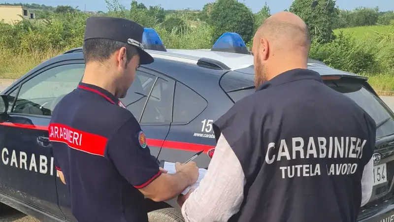 Controlli in Friuli: sanzioni per oltre 50.000 euro per quattro aziende agricole