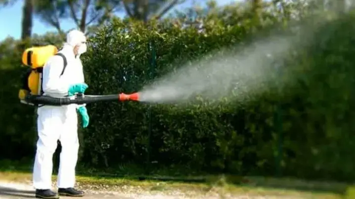 Udine, Disinfestazione Straordinaria a Viale Duodo Dopo Caso di Dengue