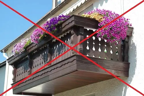 Die Sammlung von Balkonblumen findet heuer nicht statt