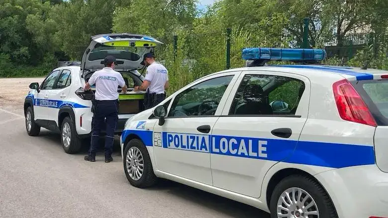 Monfalcone: Negozio di Frutta e Verdura Multato per Violazioni Etichettatura