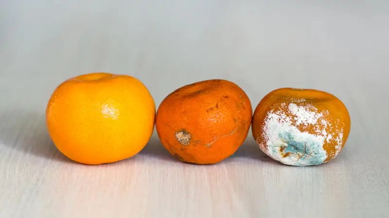 Muffa sulla Frutta: Rischio Nascosto e Consigli di Prevenzione