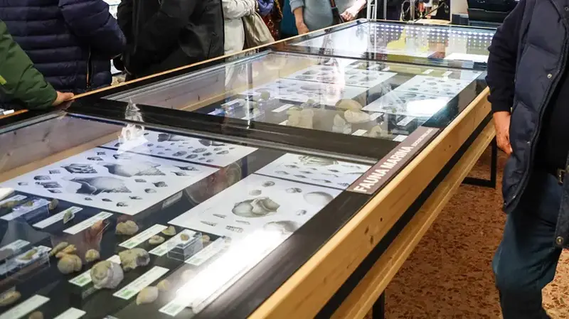 Museo di Scienze della Madonnina a Gorizia Diventerà Comune