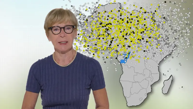 Piano Mattei in Africa: Un Bilancio Sfumato tra Luci e Ombre