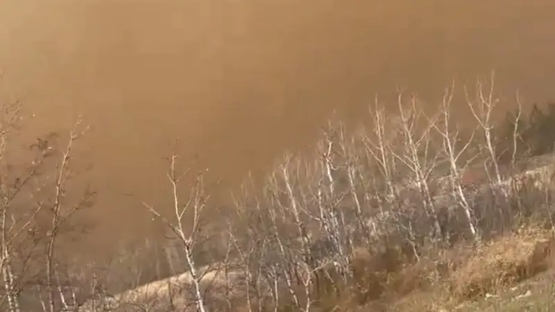 Incendio Devastante a CFB Wainwright: Morti e Feriti in Alberta
