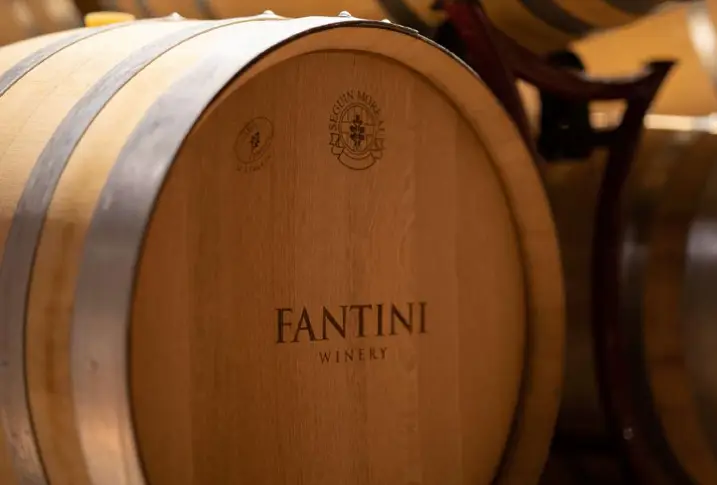 Fantini Wines: Nove Anni di Riconoscimento come ‘Best Managed Company’