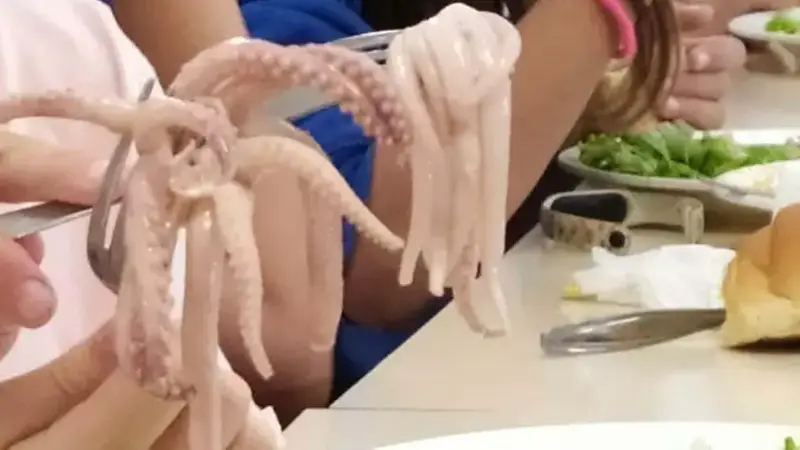 Proteste a Gorizia: Genitori Denunciano Cibo Non Cotto alla Scuola Pecorini