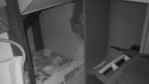 Friuli: Condannato il Basista della Banda del Buco