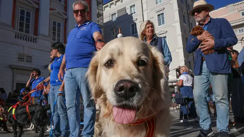 Trieste Celebra San Francesco con Festa Animale e Iniziative Enpa